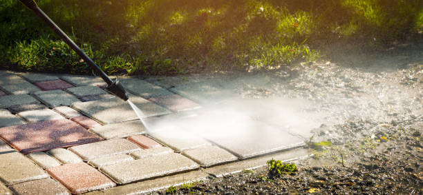 Best Animal Enclosure Cleaning  in Hagaman, NY